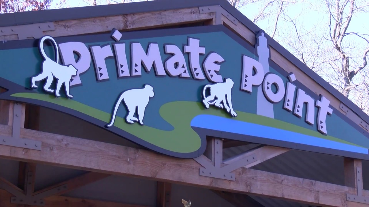 A More Natural Habitat for Cape May County Zoo Primates