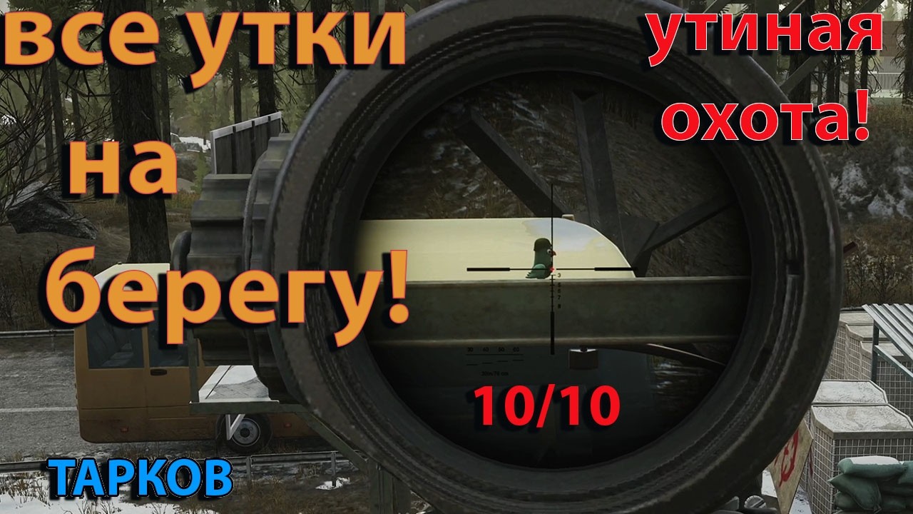 Все утки на локации Берег! Утиная охота новый ивент Тарков!