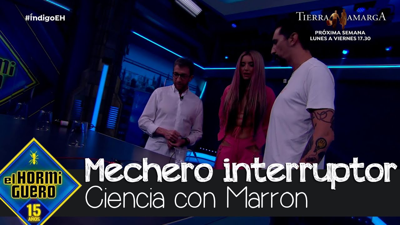 Marron ense&ntilde;a c&oacute;mo encender leds a distancia - El Hormiguero