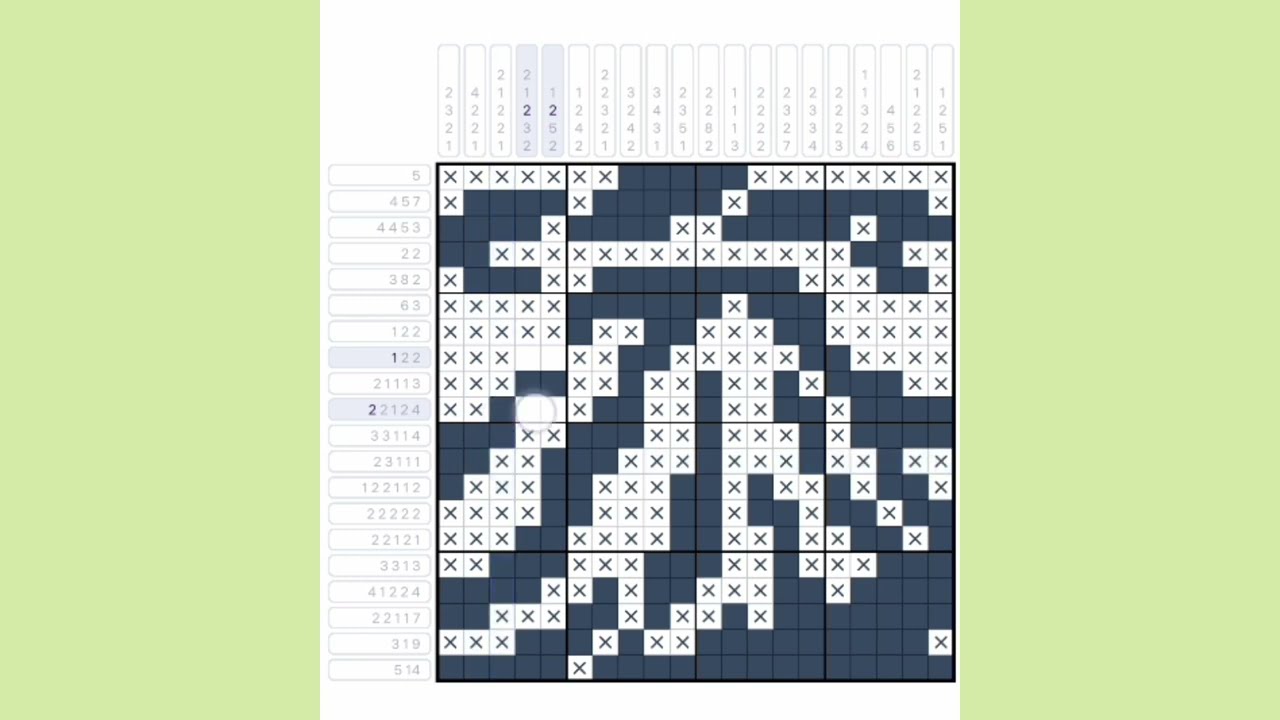 Expert level Nonogram puzzle solving 20x20
