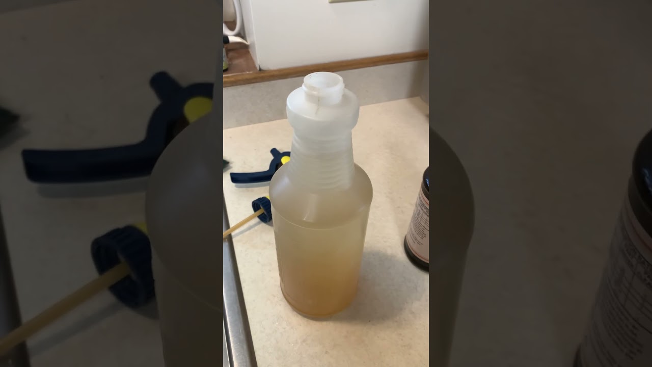 Thieves Household Spray to general cleaning