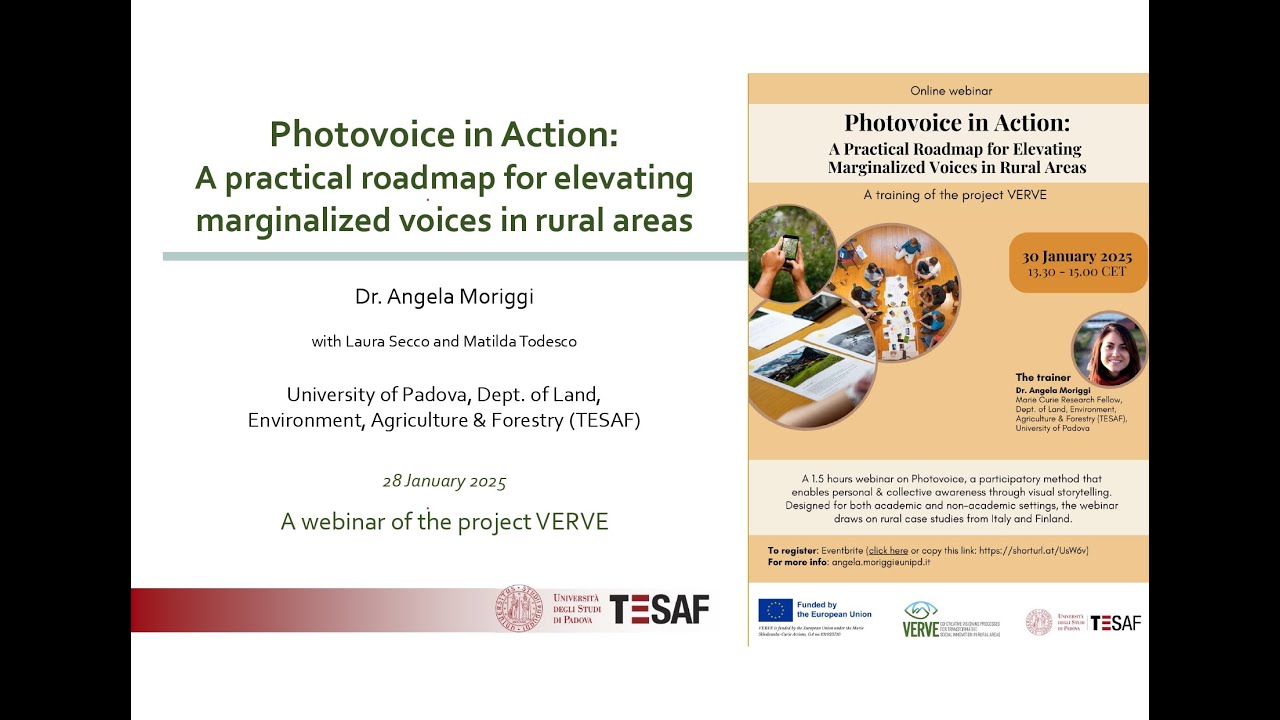 Webinar 