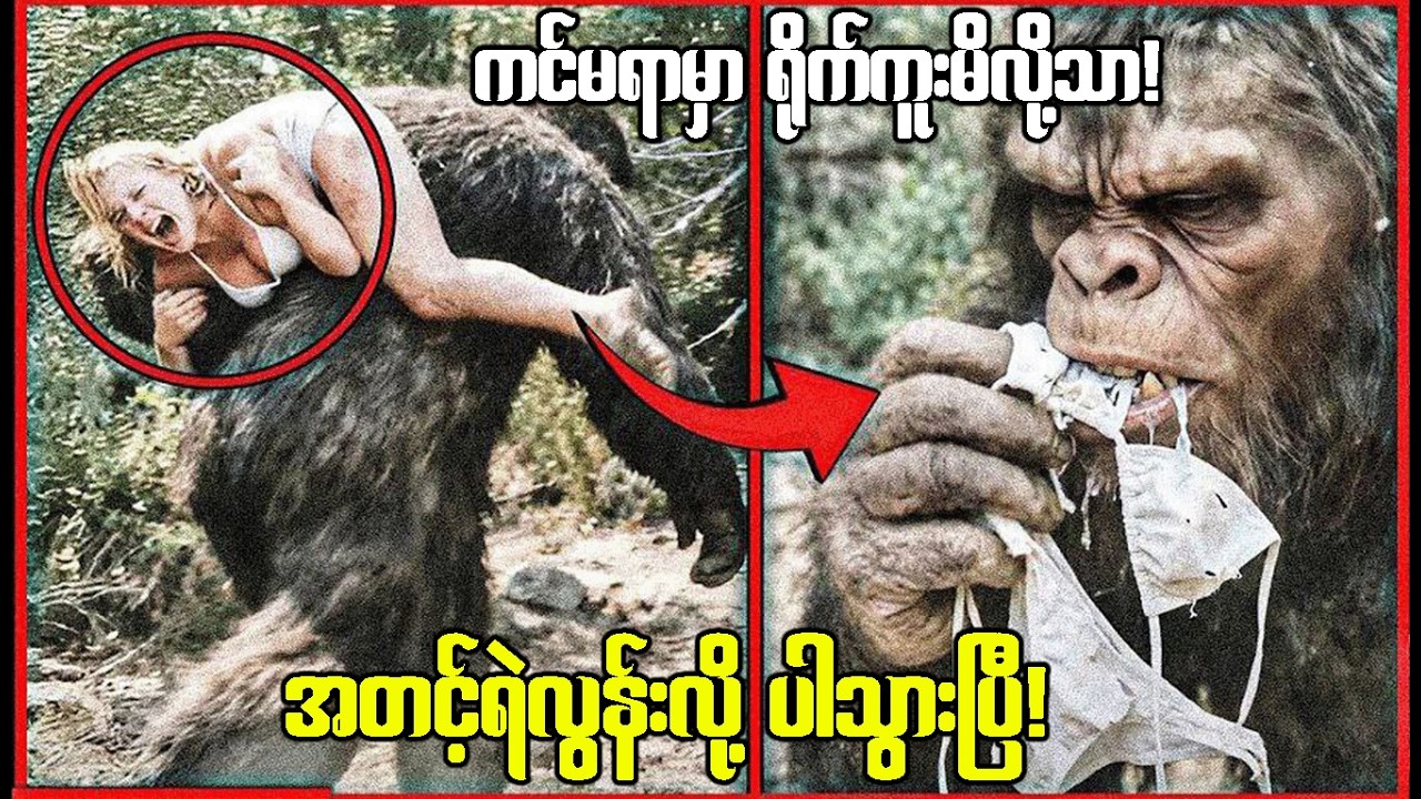 နှင်းတောထဲက အကြည်လင်ဆုံးရိုက်ကူးမိတဲ့ Bigfoot သတ္တဝါကြီးများ!😱