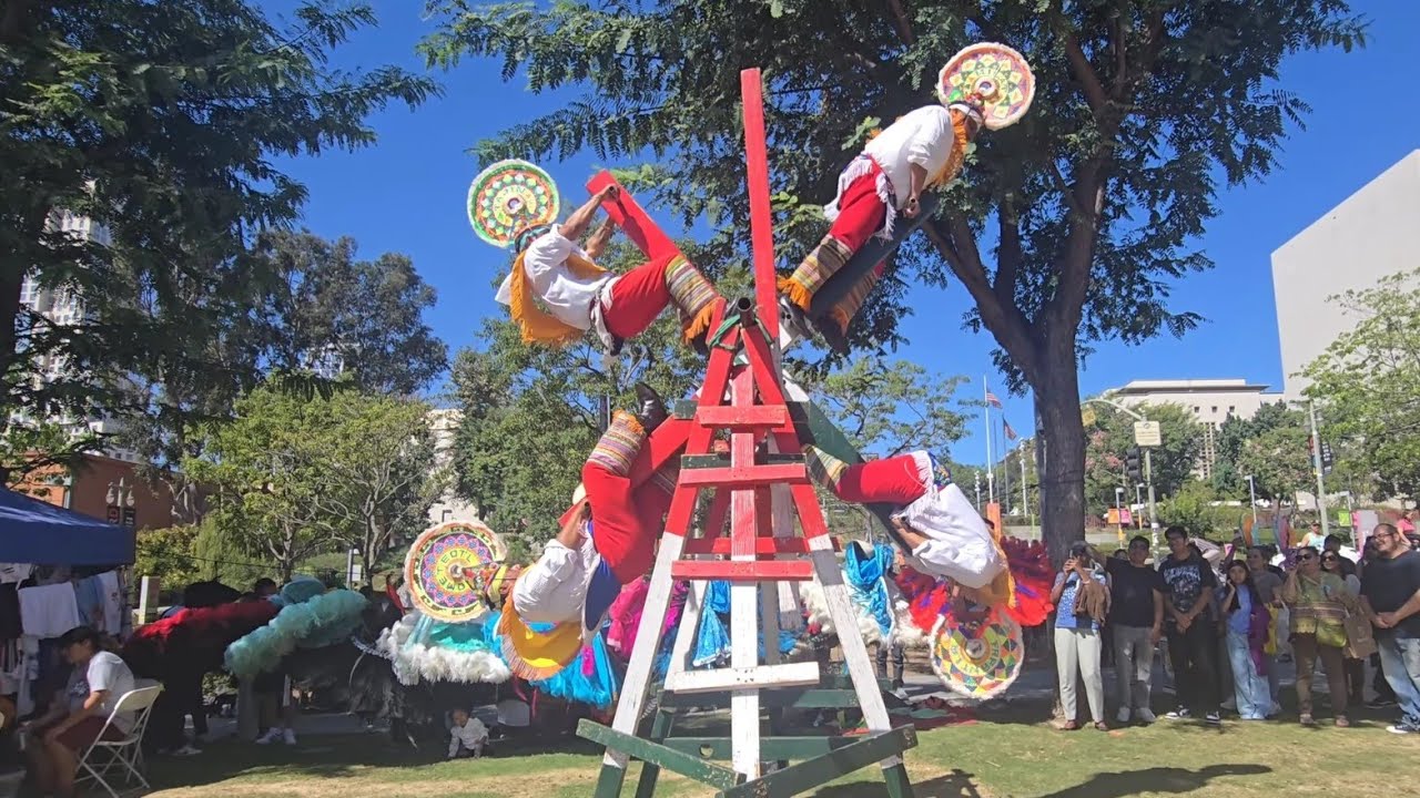 🇲🇽DANZA DE LOS HUAHUAS DE PAPANTLA VERACRUZ 2025 4k 🇲🇽