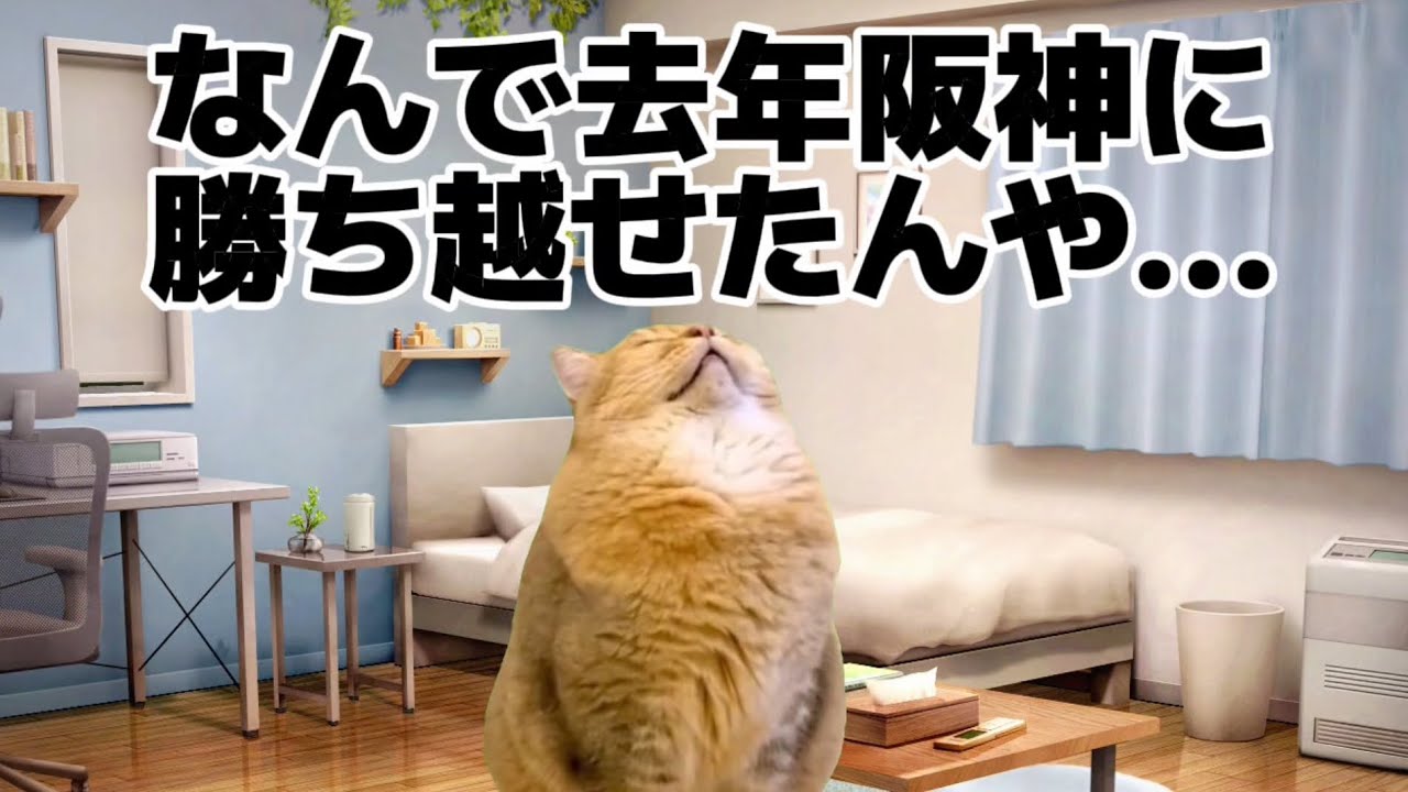 【中日】 猫ミーム 昨年勝ち越した阪神相手に本拠地バンテリンで3タテをくらい絶望する中日ファン #猫ミーム #中日ドラゴンズ #高橋宏斗 #細川成也 #サノー #花田旭 #村松開人