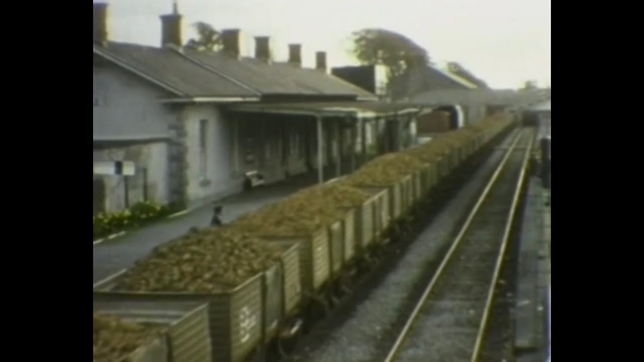 Tuam Sugar Factory: 1934-1987
