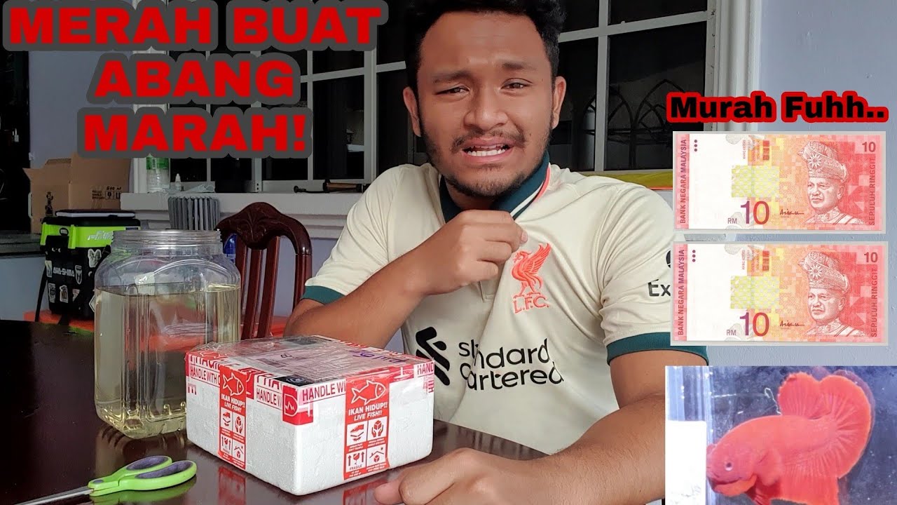 UNBOXING DAN REVIEW IKAN SOLID BERHARGA RM 20 SAHAJA!