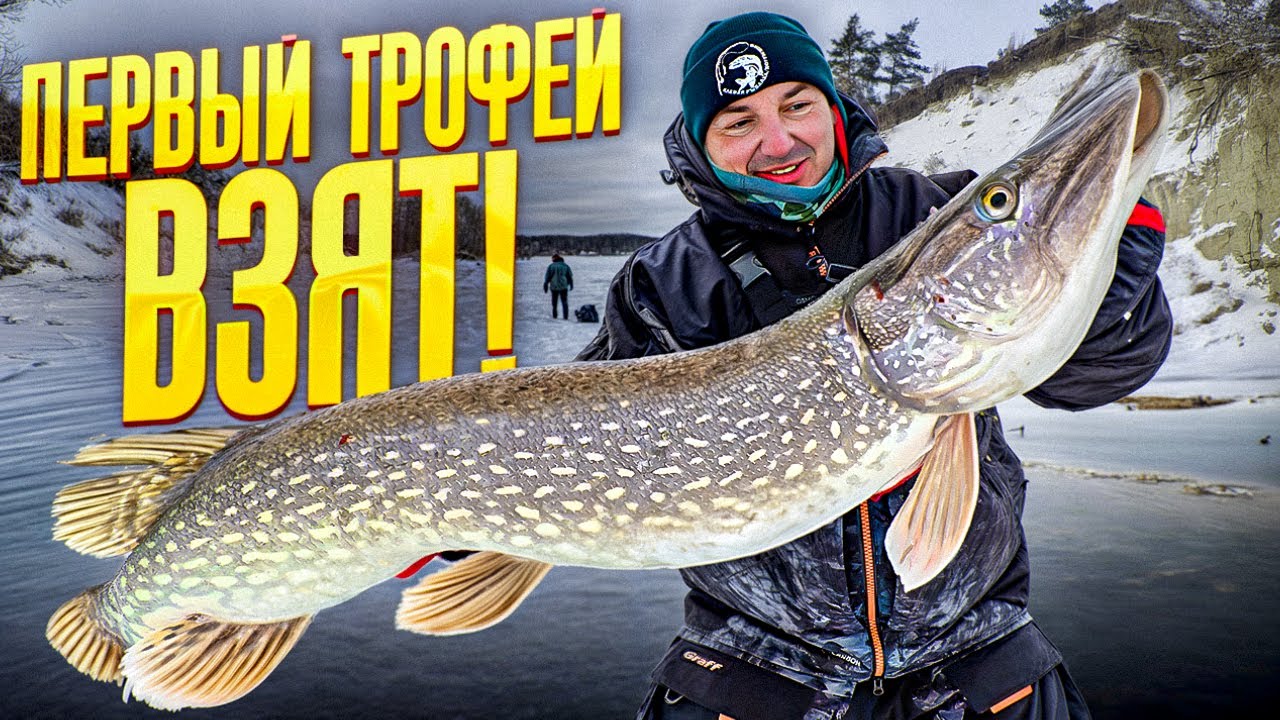Первый лёд на реке и сразу ТРОФЕЙ! Ловим хищника на Оби, незабываемая рыбалка!