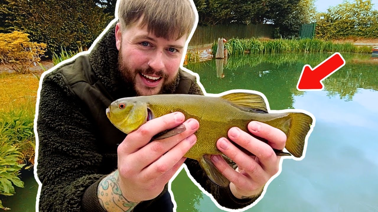 Simple Float Fishing for Tench and Carp... It's Never Been Easier 🤪