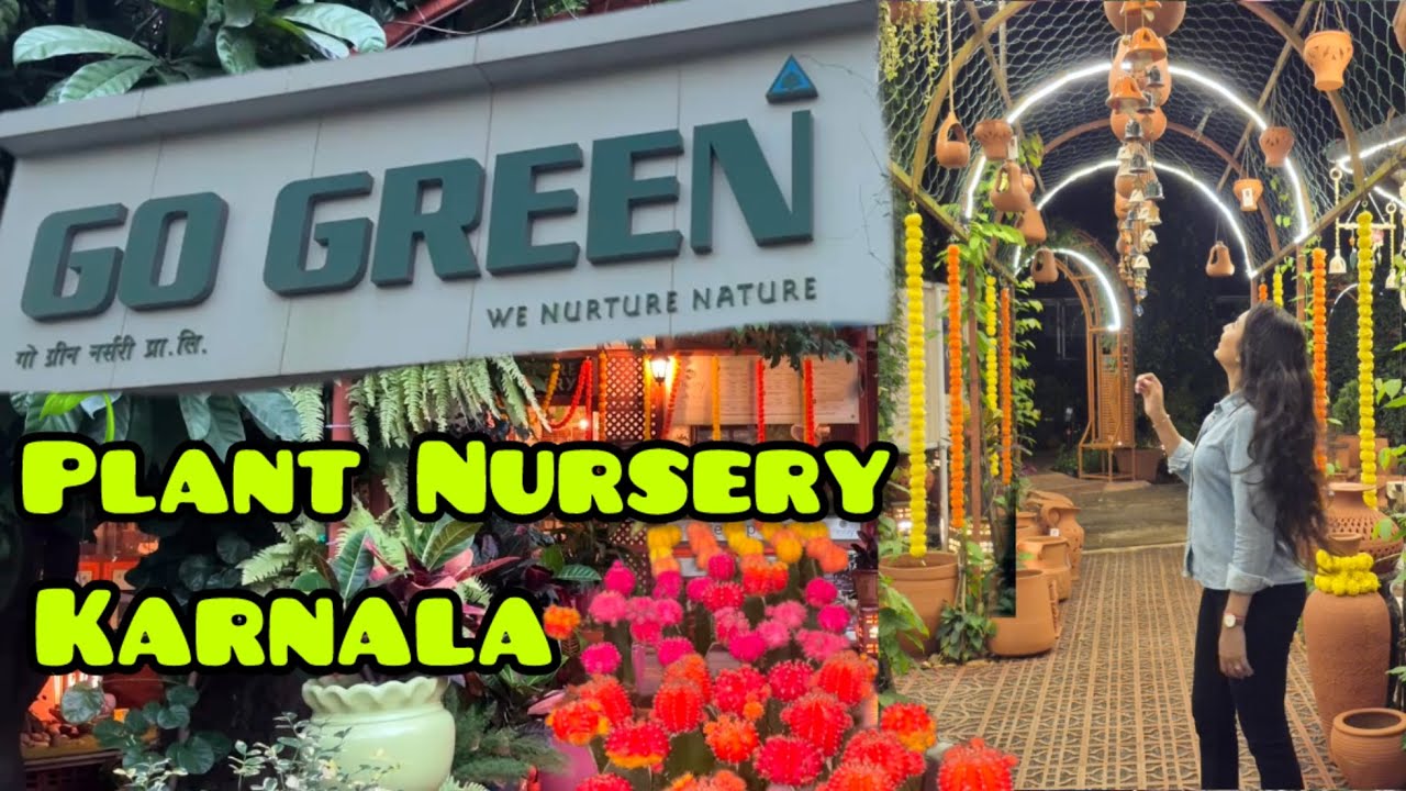 Go green Nursery | Panvel’s Biggest Nursery | Premium Pantry | Green Dining 🪴🌴🌿🍃