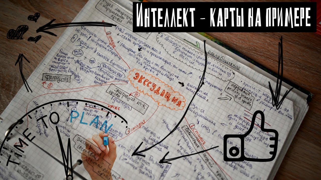 Интеллект-карты на примере | Мой метод конспектирования