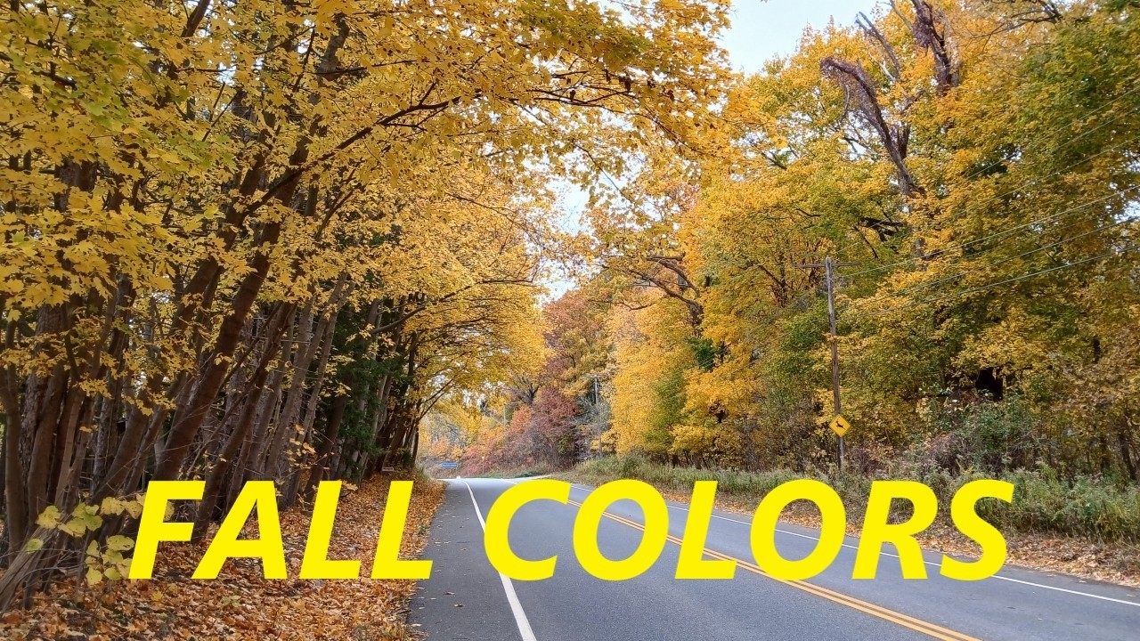 Fall Colors | Spencer Gorge Hamilton | Autumn 2025