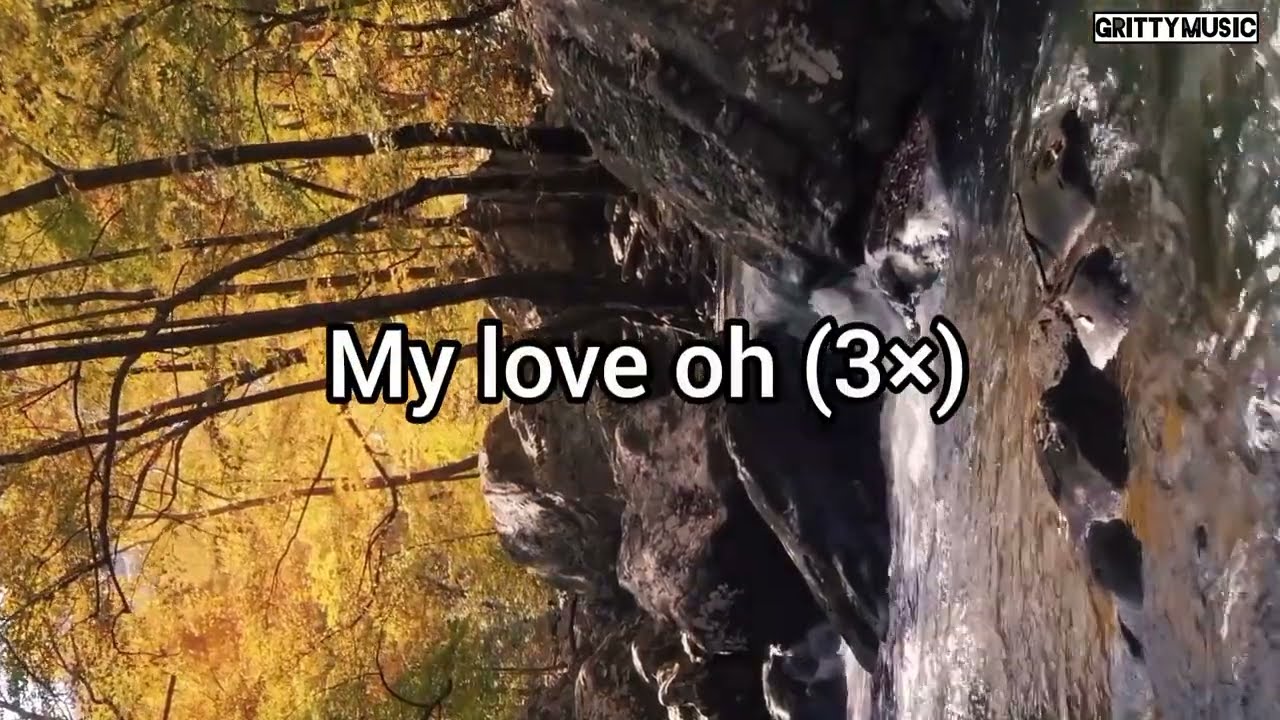 Minister Guc // Captured my heart (Official Video Lyrics)