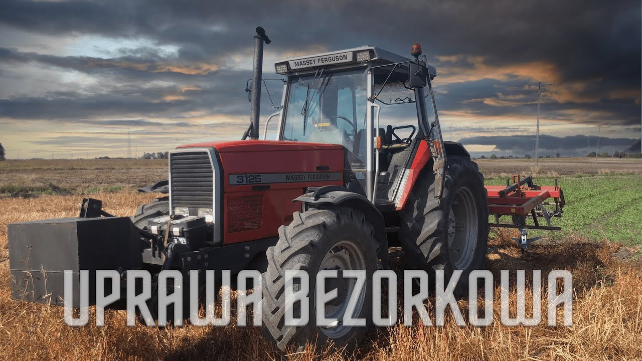 Uprawa bezorkowa po koniczynie! Massey Ferguson 3125 & Agro lift