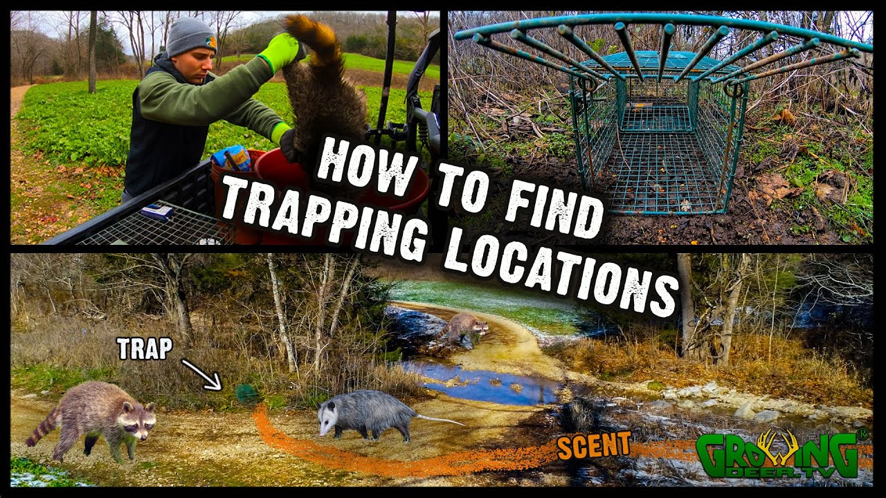 Trapping Techniques Part 1: How to Find Trapping Locations (#594)