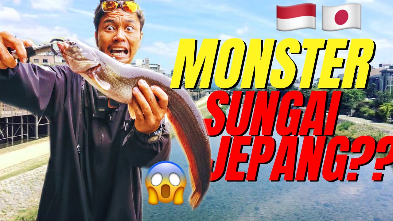 GEDE BANGET‼️Strike Lele Monster Jepang dengan Teknik Casting