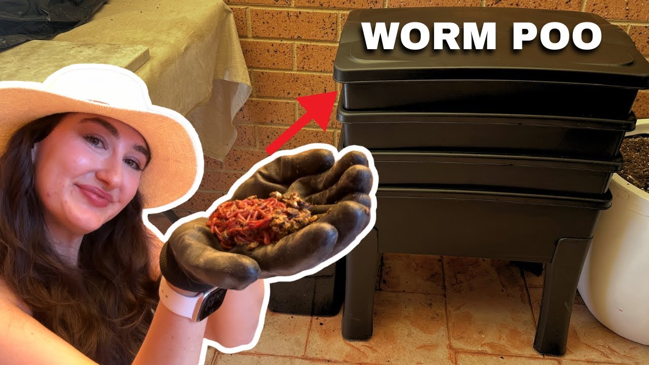 How to Start a Worm Farm (and Keep It Alive)