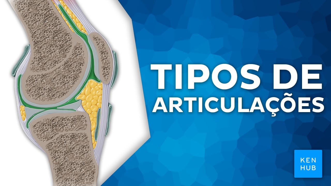Tipos de articulações - Revisão didática e completa | Kenhub