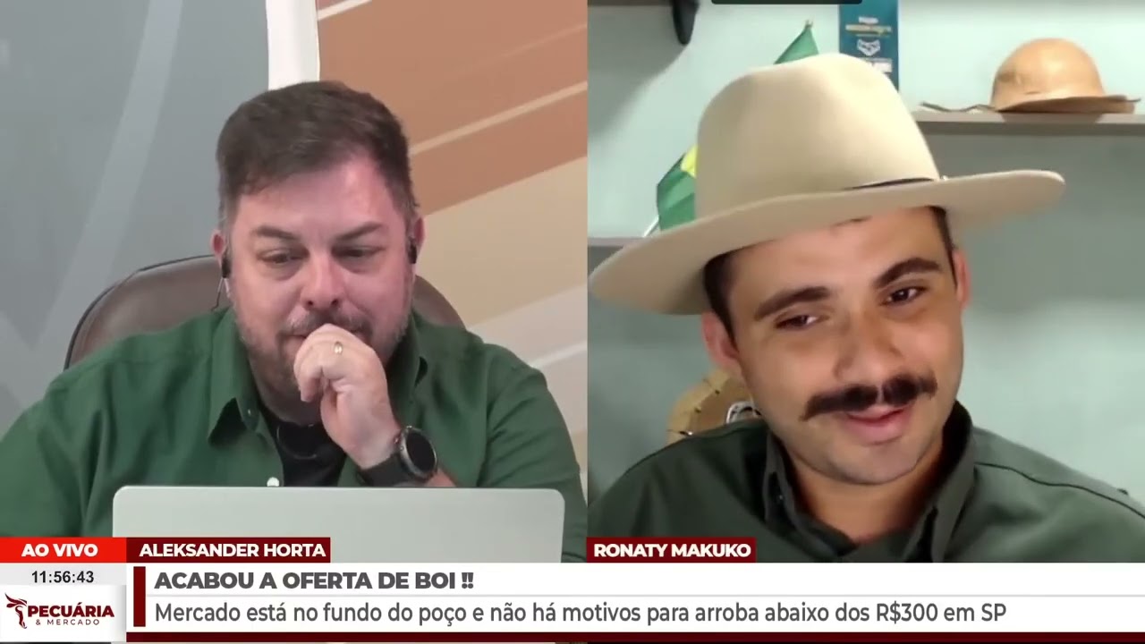 Pecuária sob PRESSÃO: analista explica se é hora de segurar ou vender
