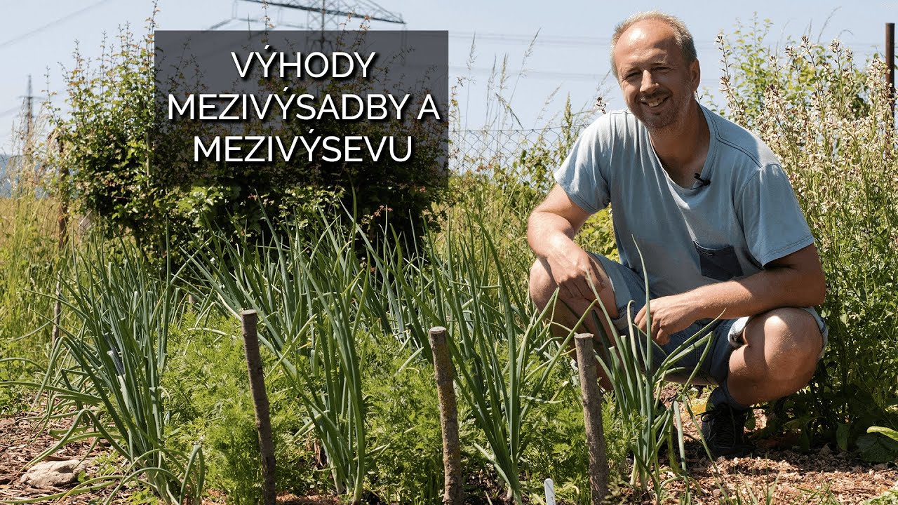 Výhody mezivýsevu a mezivýsadby mezi stávající zeleninu