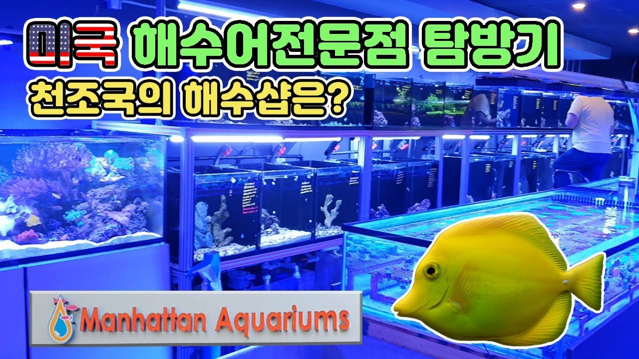 천조국의 해수샵은 어떤 모습을까? 뉴욕 맨하탄수족관 탐방기 [TV생물도감]
