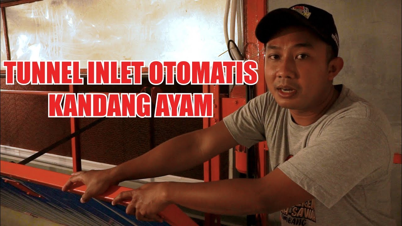 Tunnel Inlet Otomatis Dalam Kandang Ayam Modern