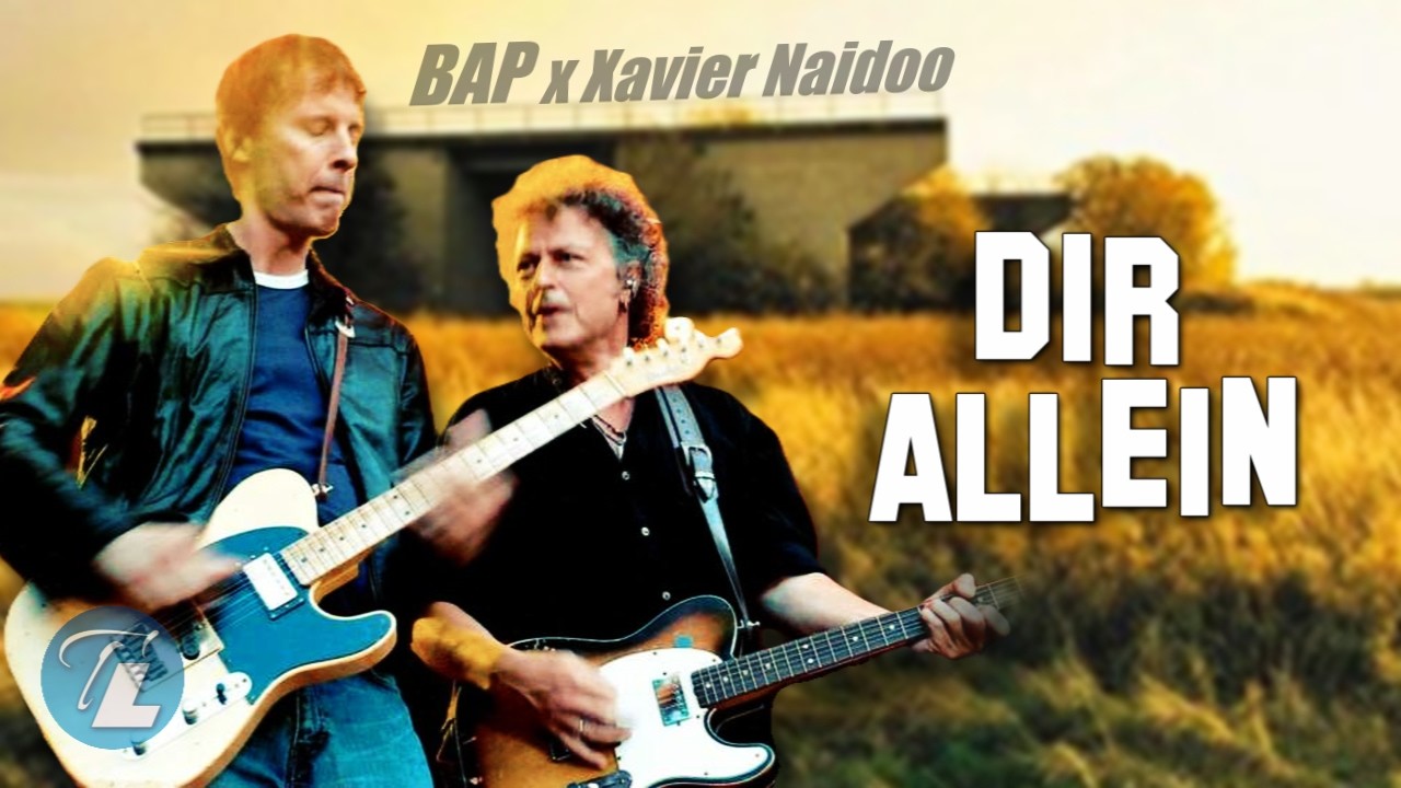BAP x XAVIER NAIDOO - Dir allein