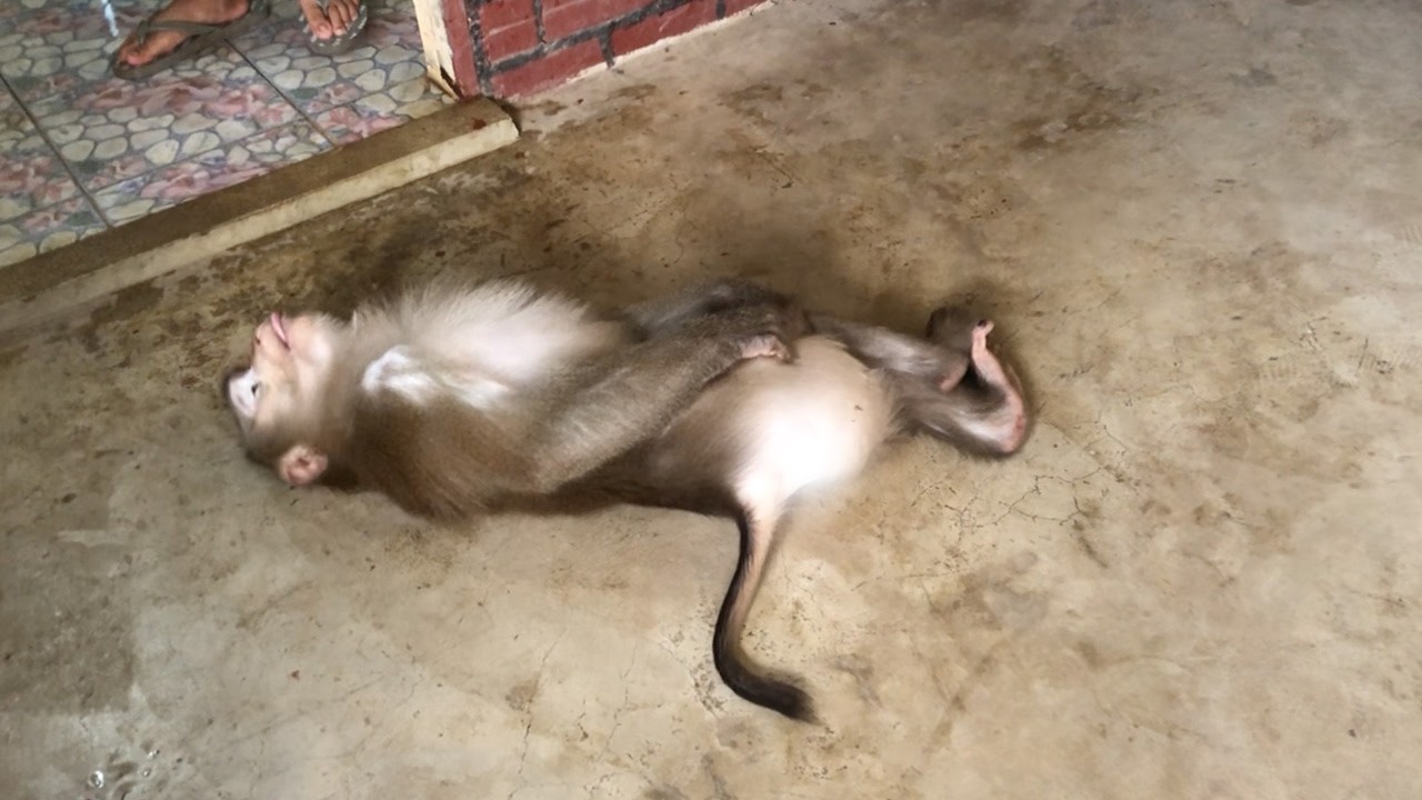 Hilarious Jason Delay Take Bath By Doing This Make Mom Unable To Blame