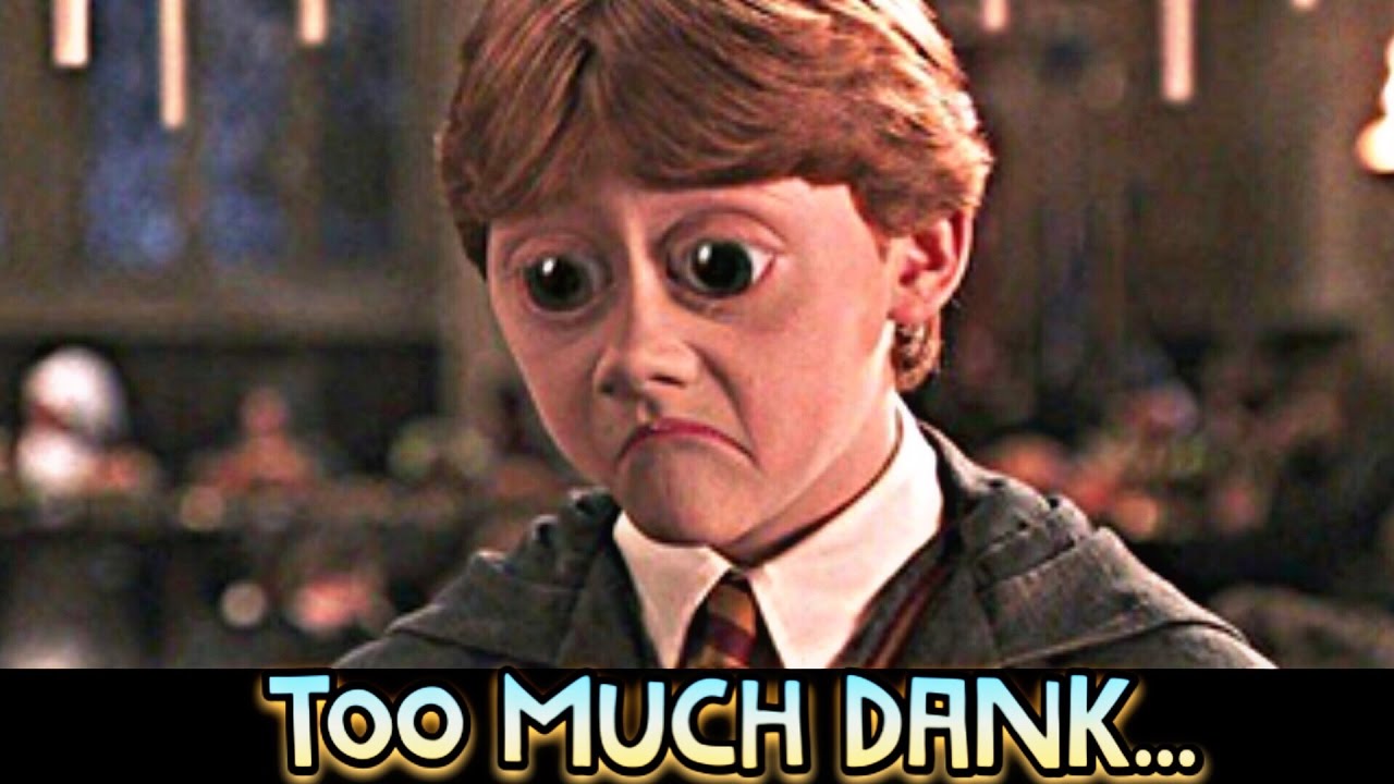 TOO MUCH DANK... #4