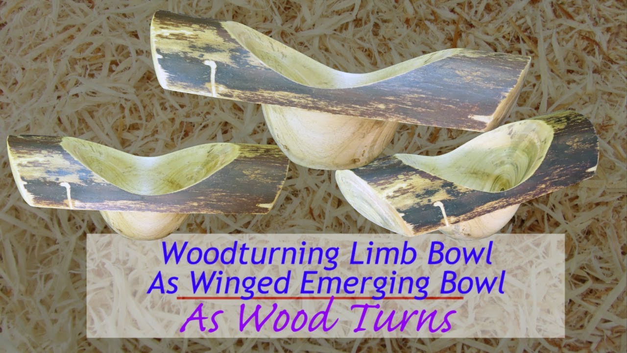 Woodturning Limb Bowl As Winged Emerging Bowl