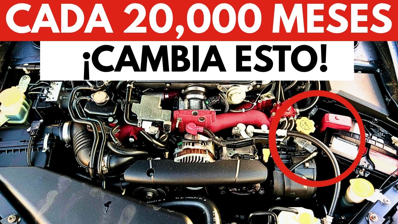 Cómo Hacer Que Tu Subaru Dure Más De 500,000 Millas !!Sin Reparaciones Importantes!!