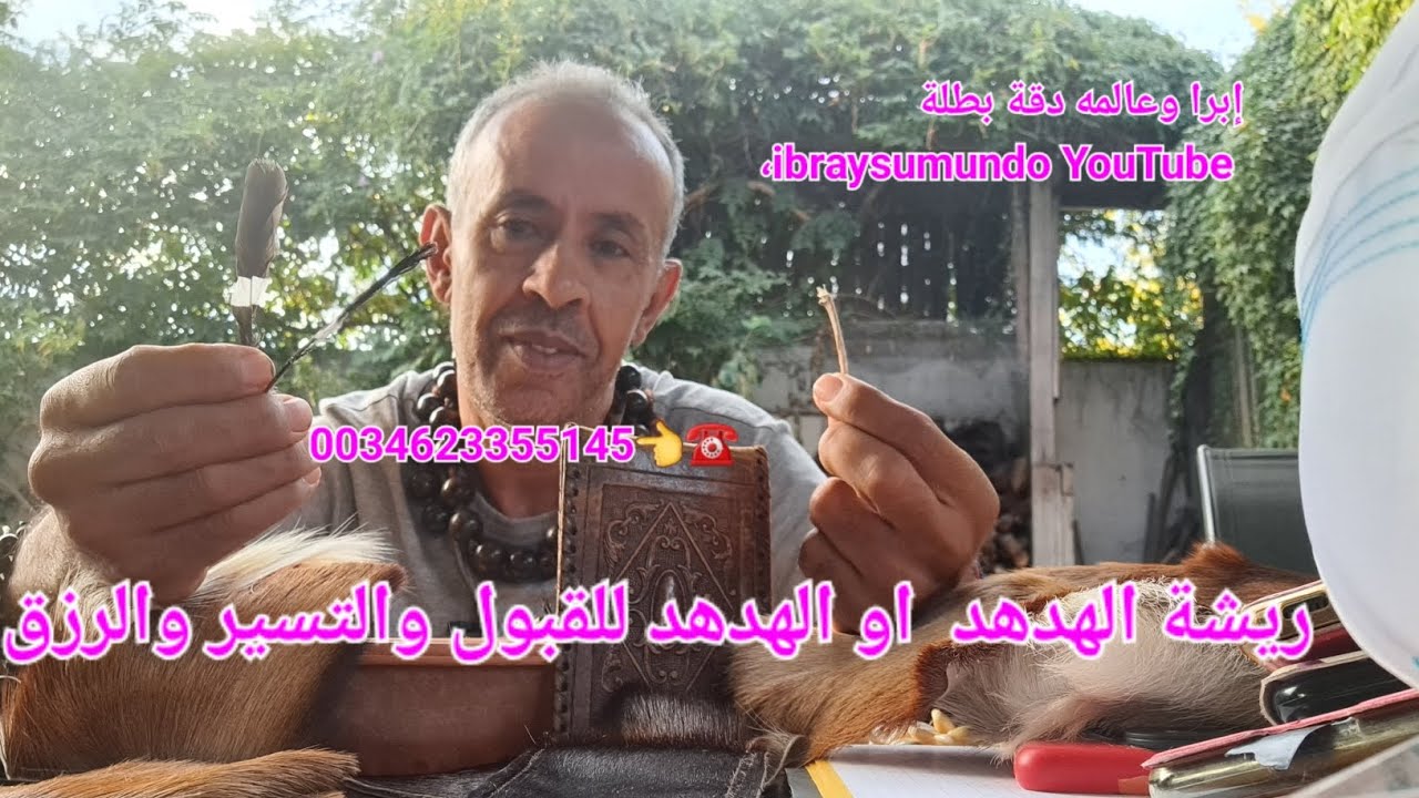 ريشة الهدهد أو الهدهد كل قبول والرزق والمحبة0034623355145☎️👈