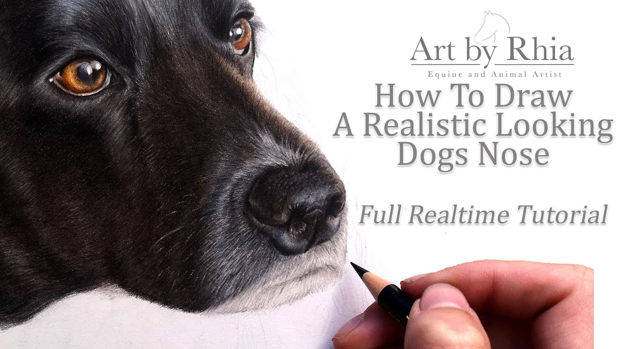 How To Draw A Realistic Looking Dogs Nose - FULL TUTORIAL