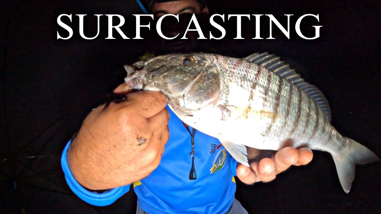 SURFCASTING NOCTURNO, BUENAS CAPTURAS Y SUSTO AL CHOCO... SURFCASTING GRANADA 