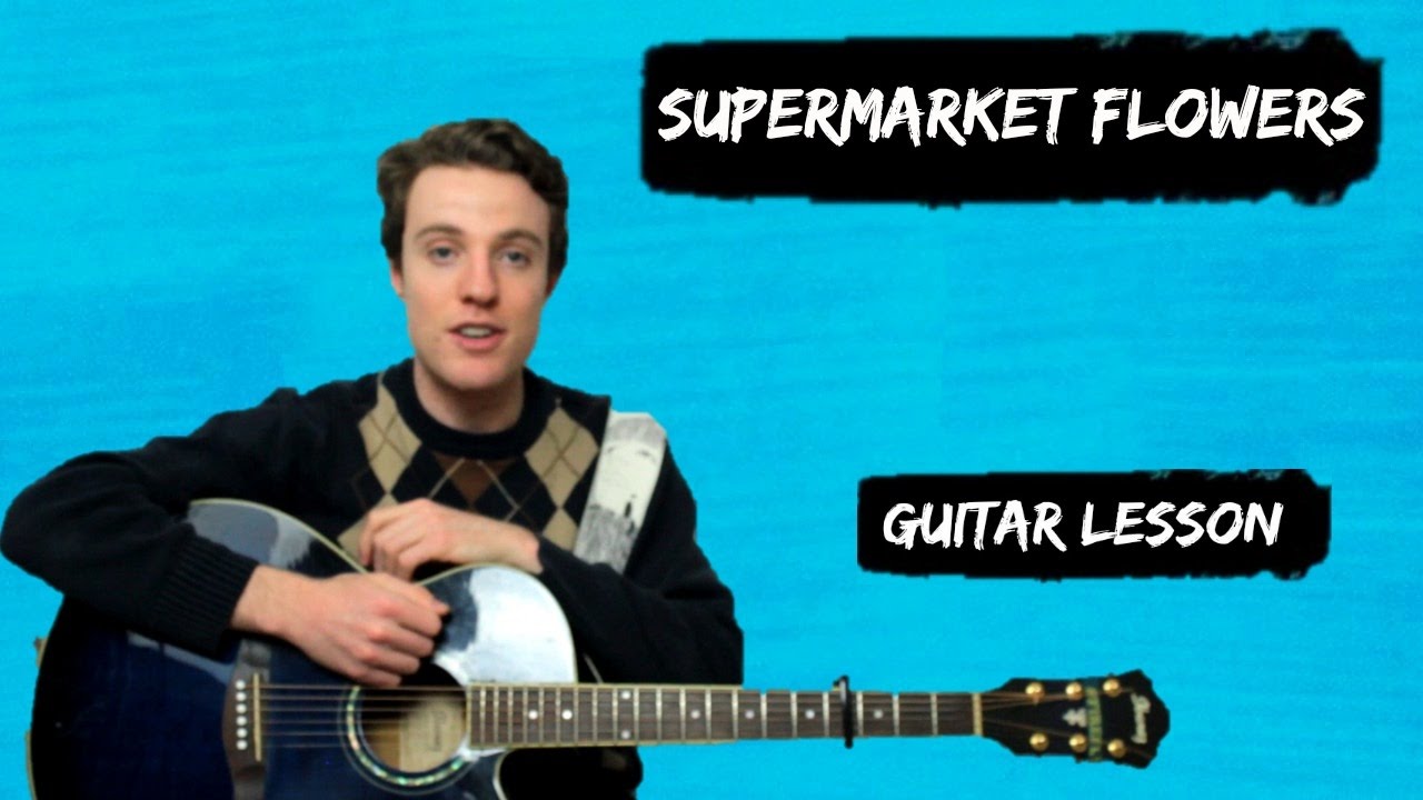 Ed Sheeran - Supermarket Flowers | Guitar Chords and Lyrics for Beginners