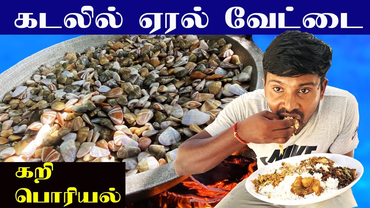 ஆழியவளை கடலில் ஏரல் வேட்டை #traditional #trending #fish #fishing #valvaisulax