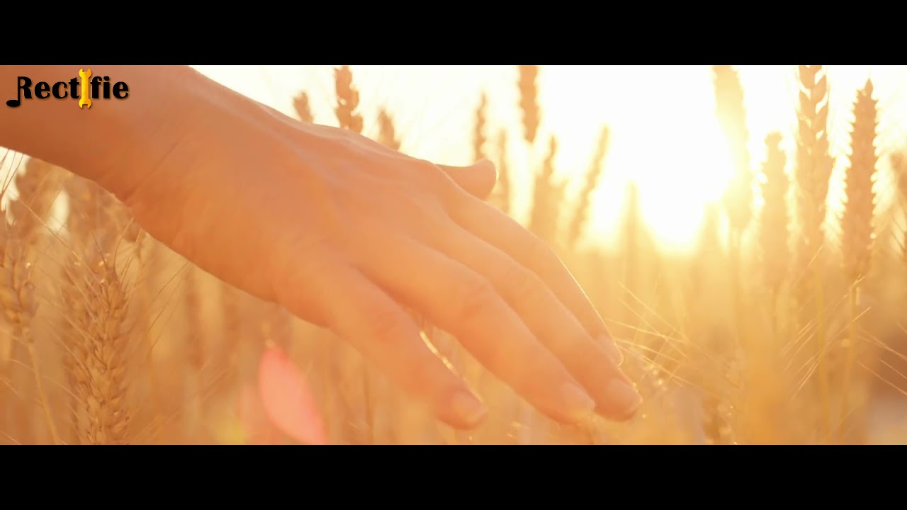 Tango to Evora - Rectifie (Summer breeze remix)