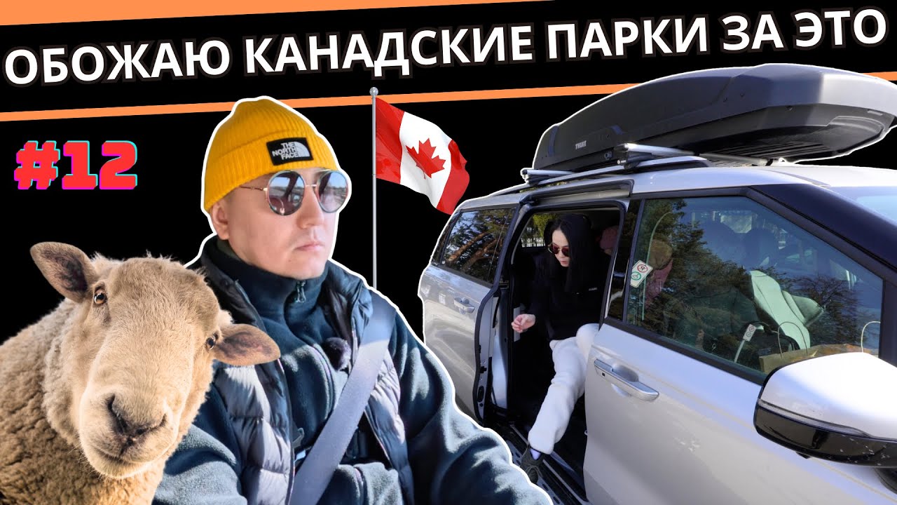 Влоги Из Канады: Как Проводит Выходной Обычная Многодетная Семья