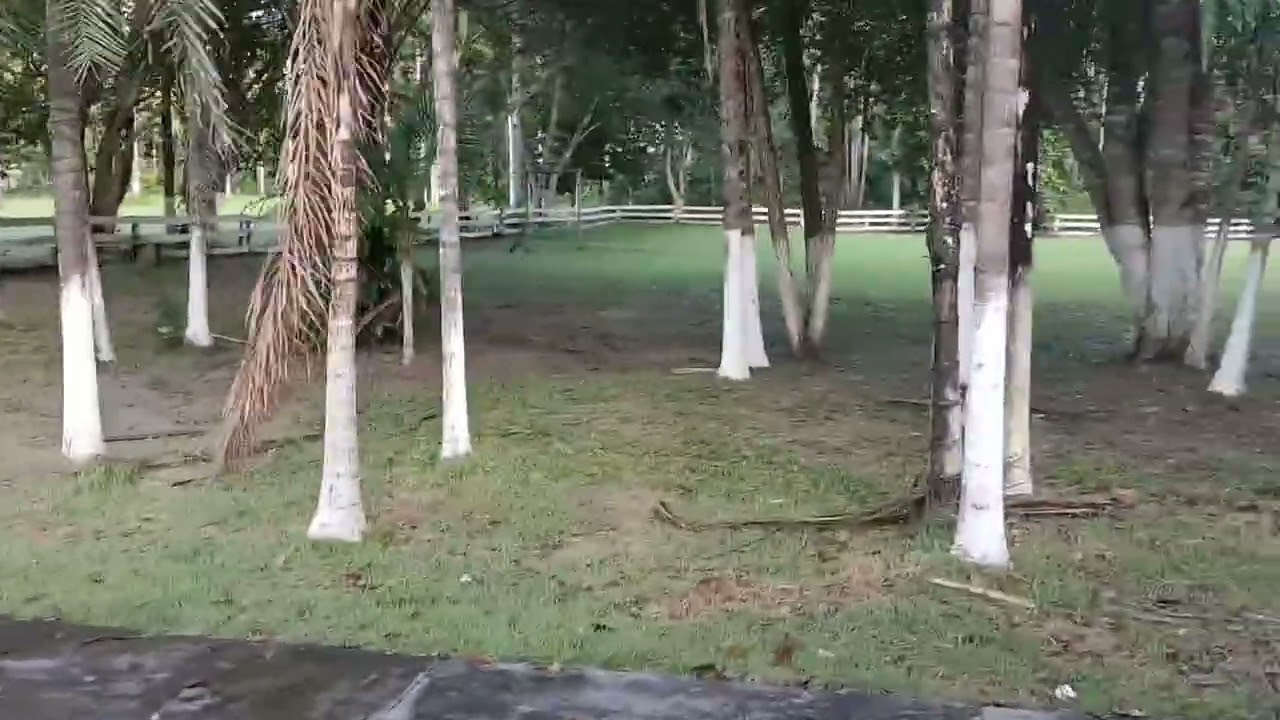 20 de fevereiro de 2026