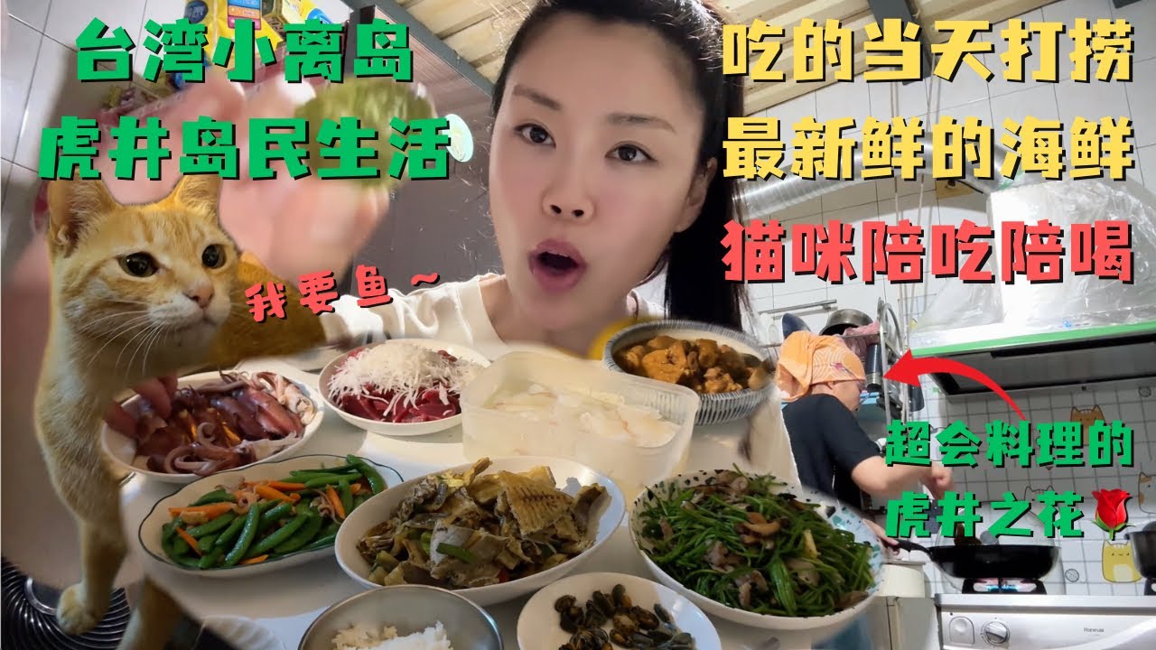 台湾小离岛虎井🏝️岛民生活日常🦑现捞海鲜吃到饱🐟微醺撸猫🐱超疗愈😍