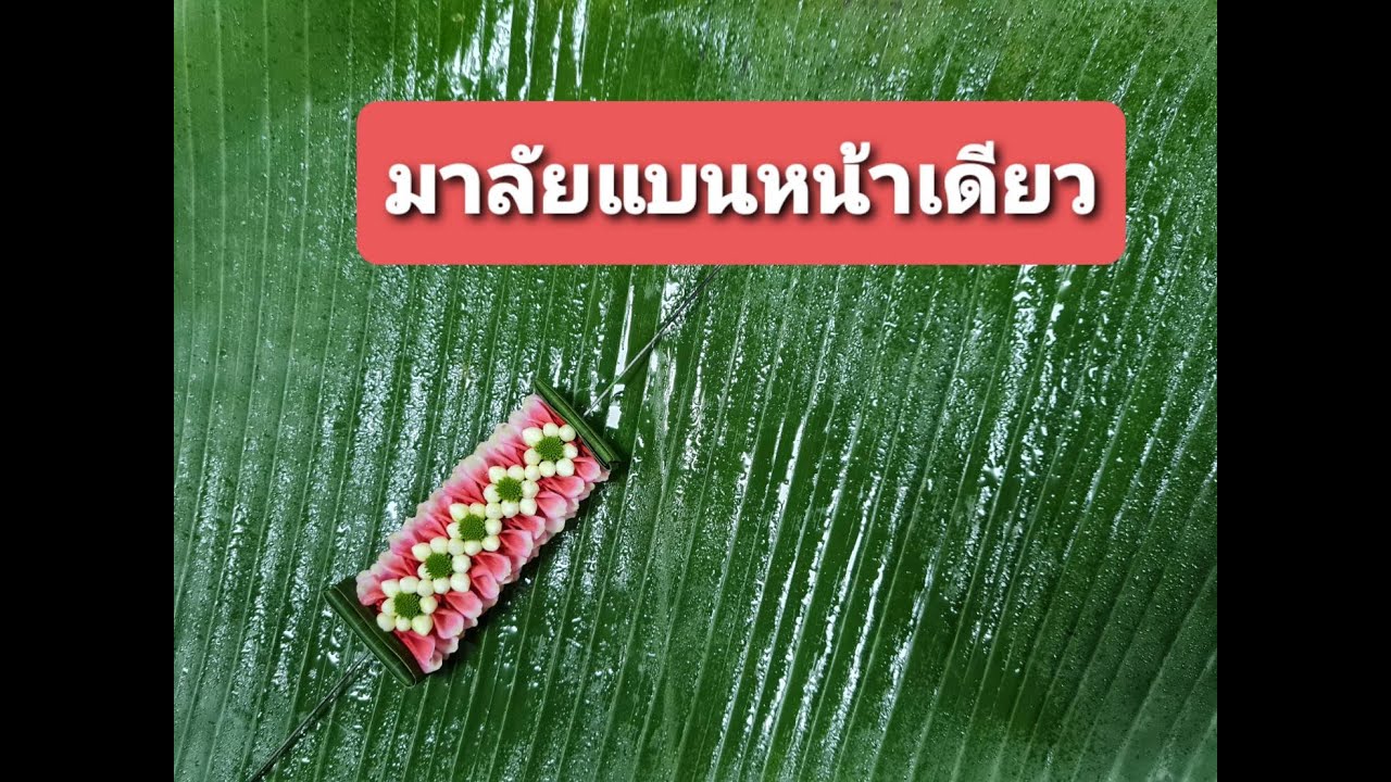 มาลัยแบนหน้าเดียว