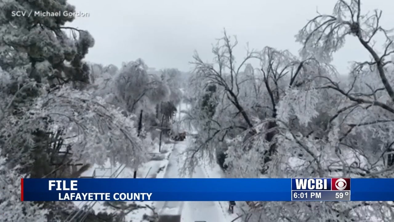 CREATE to distribute winter storm relief funds through affiliates