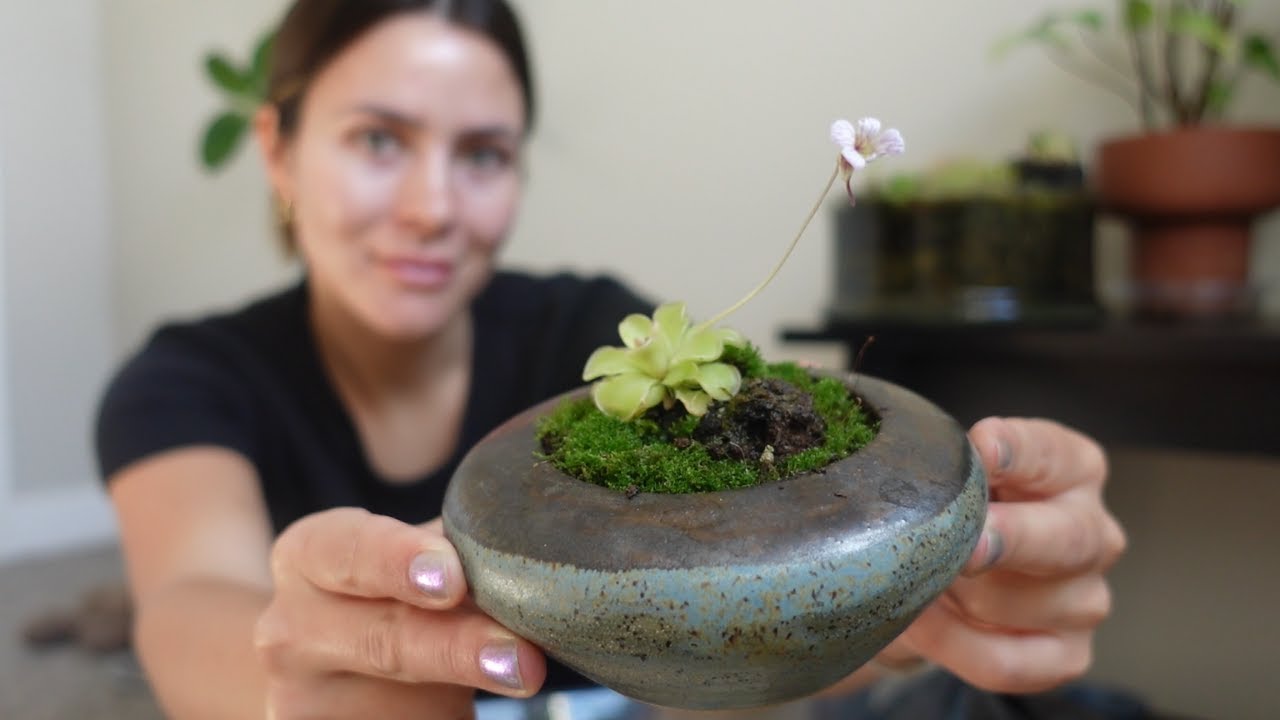 A Day of Plant Care | Repotting, Propagation, Thrift Haul, + Home & Plant Updates