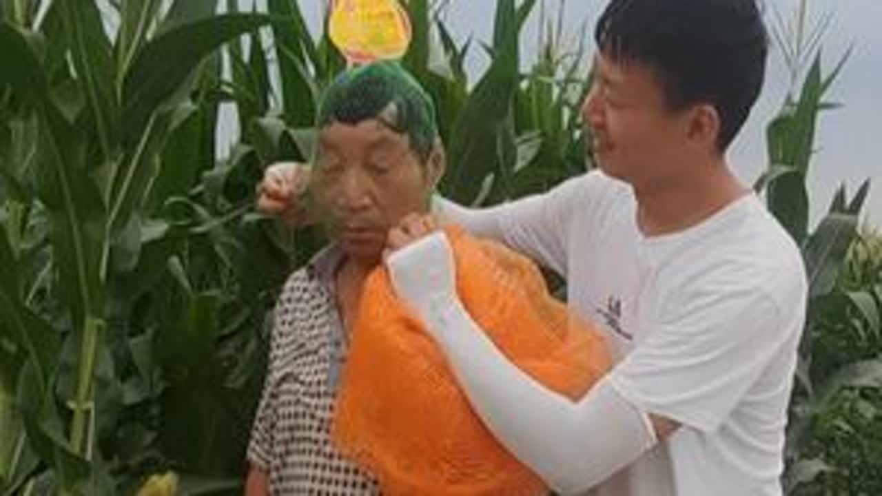 老爸听专家的话，这个时候还要继续给玉米施肥，今年雨水特别多，庄稼收成还是个未知数，投资越来越多，小胡对此却有自己的看法。
