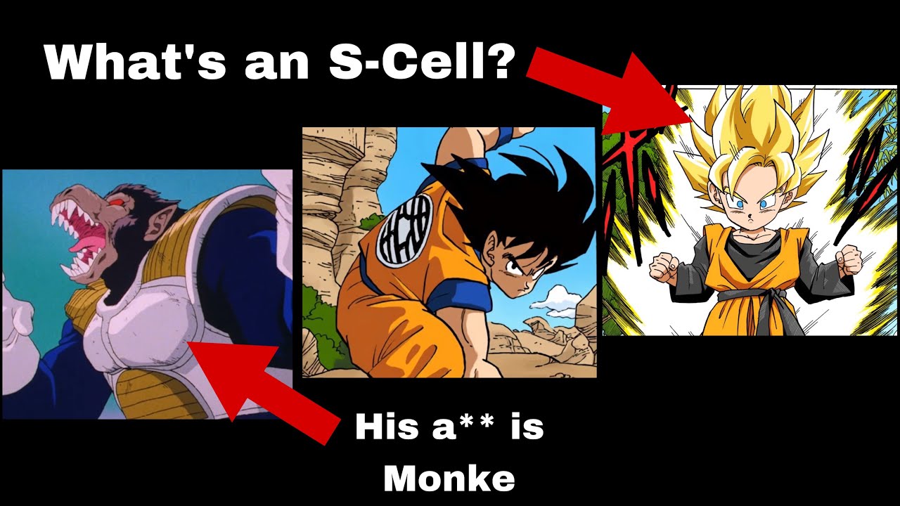 How Does Saiyan Biology Work? - An Extensive and Overly Complicated Guide