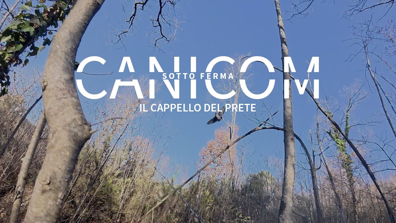 HUNTING WITH CANICOM | Sotto Ferma | Il Cappello del Prete