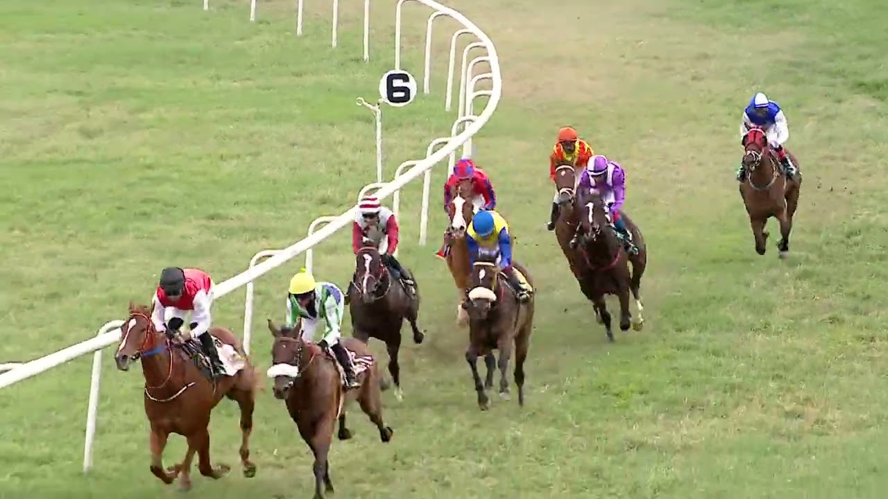 JADE MOUNTAIN : THE BELMONT PARK PLATE DIV I (11)