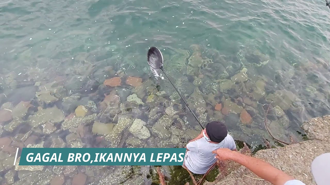 SHORE JIGGING|| Jeddah K.S.A||6# Ganasnya Serangan Ikan,Joran Sampai kejebur!!!