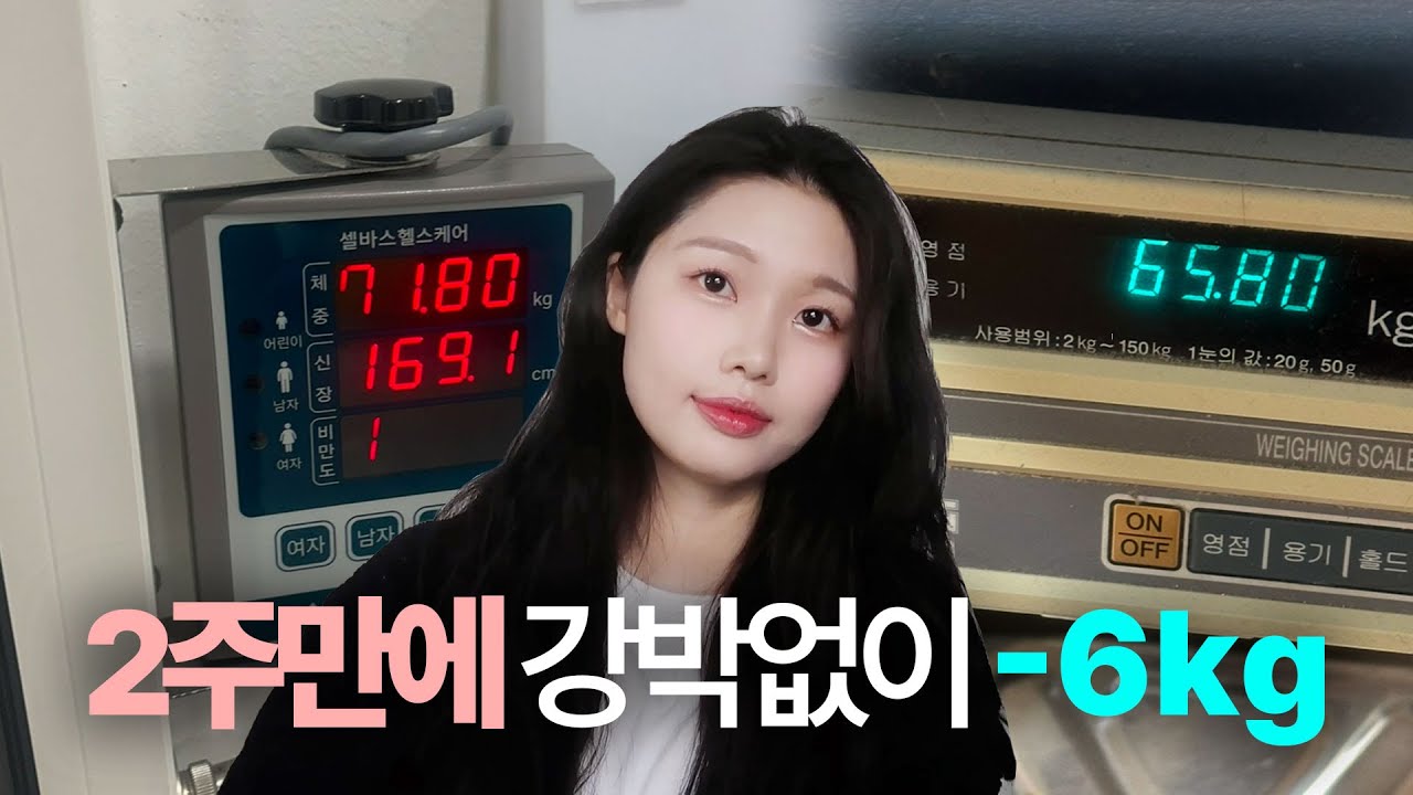 외모 강박 없이, 2주만에 저절로 -6kg 감량한 나의 다이어트 스토리 (방법•식단•운동)