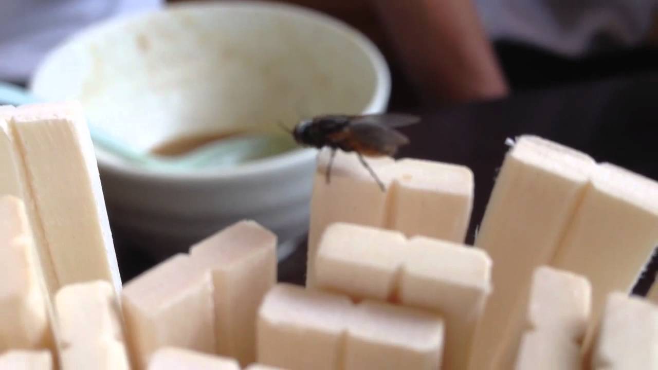 ハエの小便  The urinating fly
